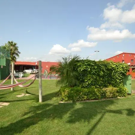 Escalicha